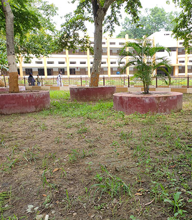 Demo Image